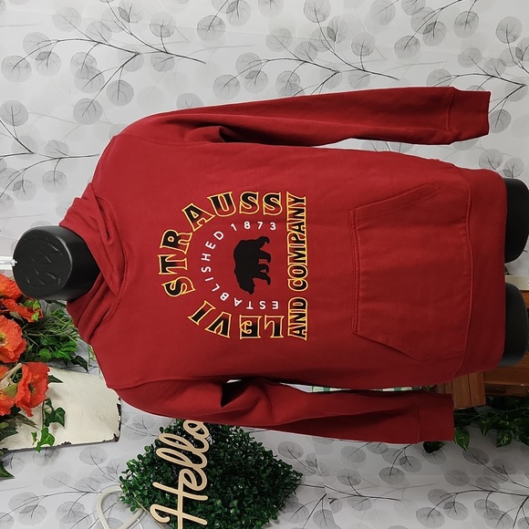 Levi's Youth Hoodie - Picture 3 of 8